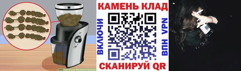 Купить закладки  Злынка  Cannafood марихуана 