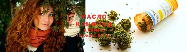 прущий лед Ельня