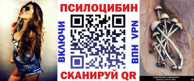 Купить закладки  Злынка  Псилоцибиновые грибы GOLDEN TEACHER 